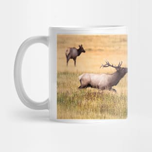 Wild life design Mug